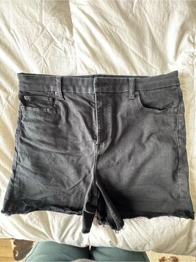 American eagle plus size 16 Denim Cutoff Shorts